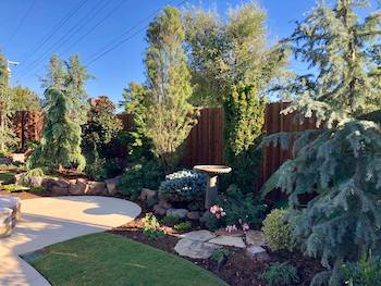Photo of a beautiful piedmont backyard from scapes landscaping.