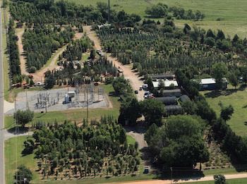 Scapes Inc landscaping Mustang shows you a photo of their tree farm. Scapes Inc landscaping Mustang shows you a photo of their tree farm.