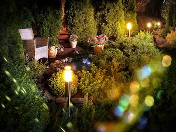 Scapes Inc Landscaping OKC shows you a photo of outdoor landscape lighting.