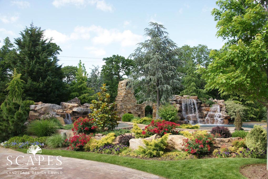 5 Oklahoma Native Plants That Will Thrive in Oklahoma #39 s Climate Scapes 5 Oklahoma Native Plants That Will Thrive in Oklahoma #39 s Climate Scapes